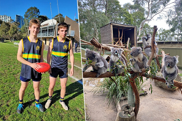 Foto: Australian Football im Selbstversuch und wildes Leben im Ballarat Wildlife Park.