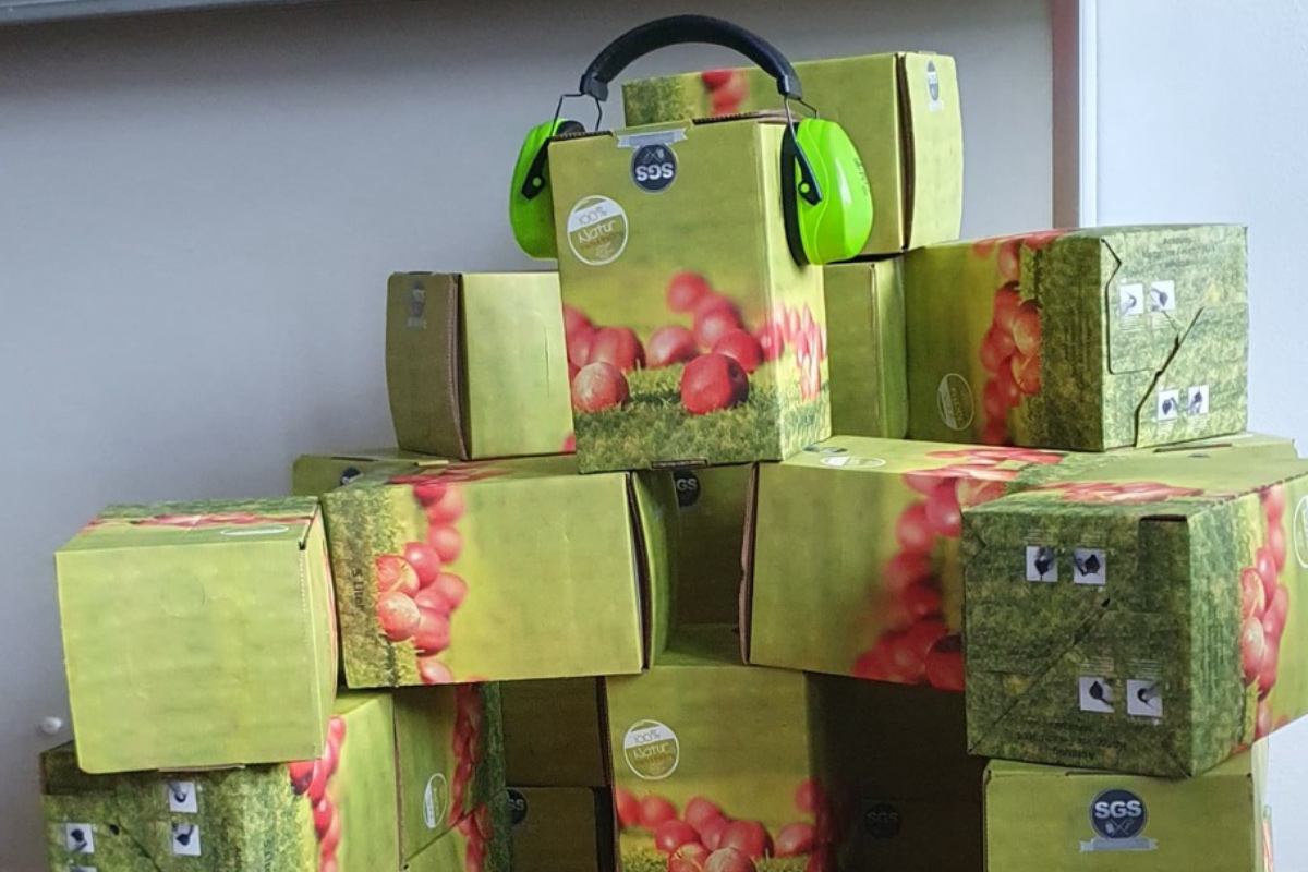 Foto: gymnasium-selm.de