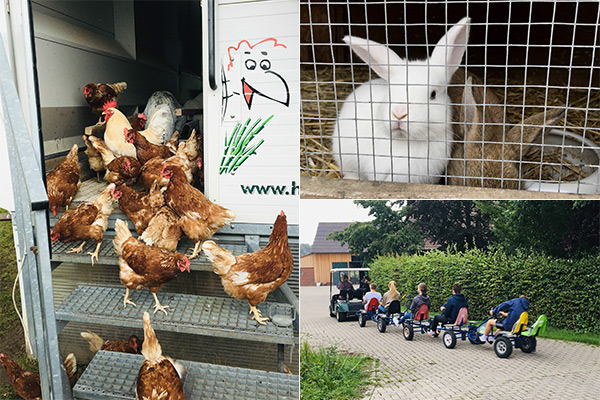 Foto: Eindrücke vom Besuch der 9b auf Hof Spinne.