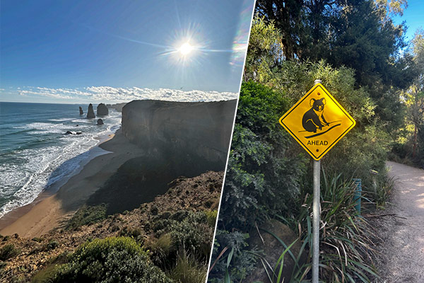 Foto: Beeindruckend: Die Fotokulisse an der Great Ocean Road und die australische Tierwelt.