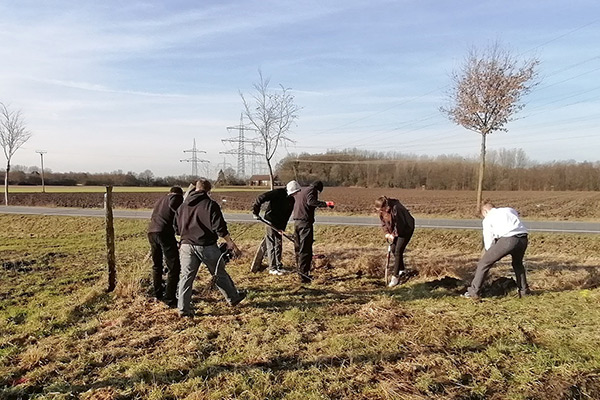 Foto: Insgesamt 650 Bäume und Sträucher wurden bei der großen Pflanzaktion der Q1 gepflanzt.