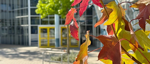 Unser Nachmittagsangebot