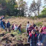  Unser zweiter Tag in Föckinghausen: Wanderung zum Lörmecketurm und nach Warstein bei bestem Wetter, Luchsfütterung, Bilsteinhöhle, gemütlicher Ausklang mit müden und zufriedenen Kindern.