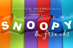 Foto zum Artikel:  Das neue Projekt des Musical Ensembles ist diese…